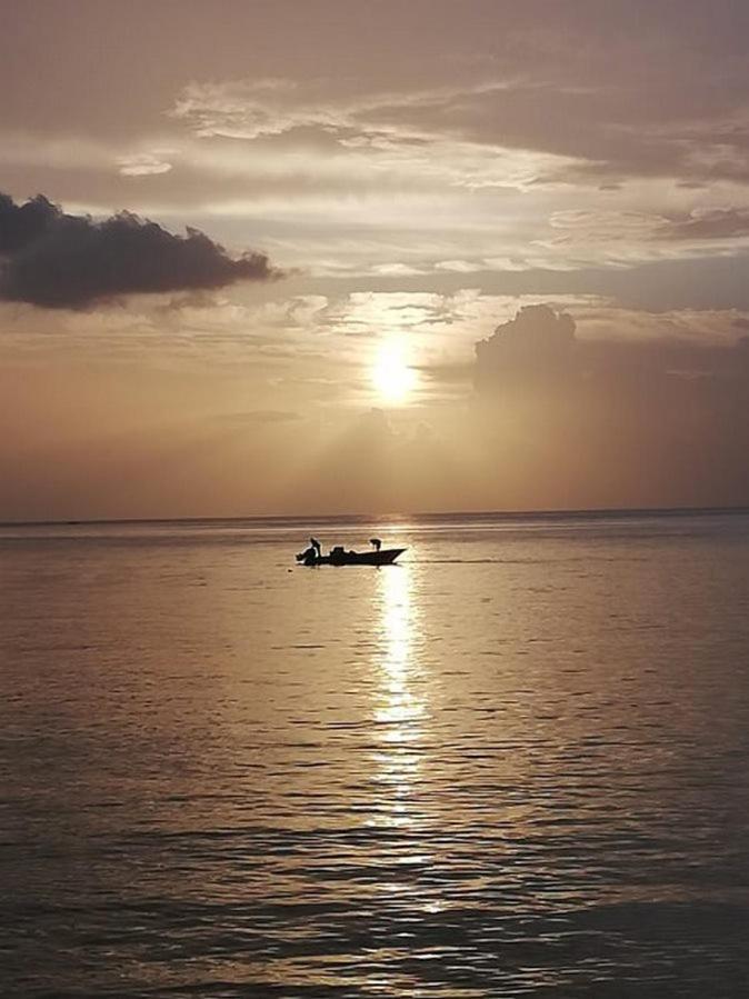 Gites Les Lodges Des Hauts De Deshaies Bungalow Barbade Dış mekan fotoğraf